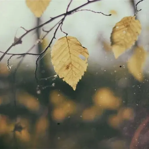 필요한 서류 준비 이미지