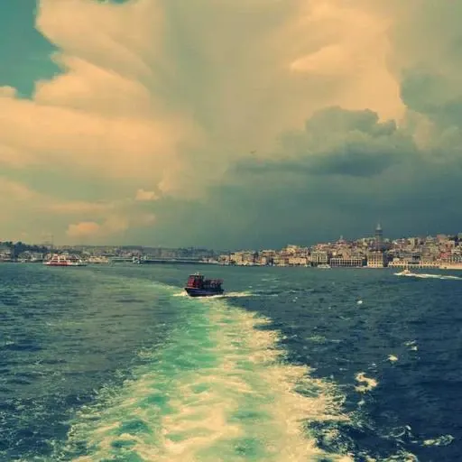 주요 투자 분야와 예산 배정 이미지