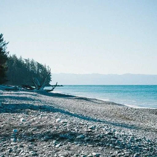 주의할 점 이미지