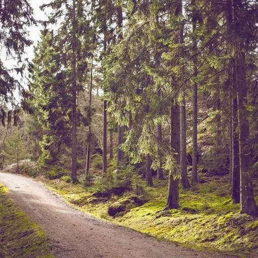 대출 상환 방식 이미지