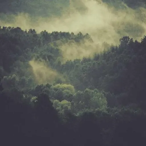 지원금의 경제적 영향 이미지