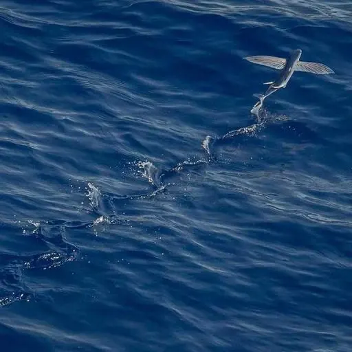 핵심 요약 이미지