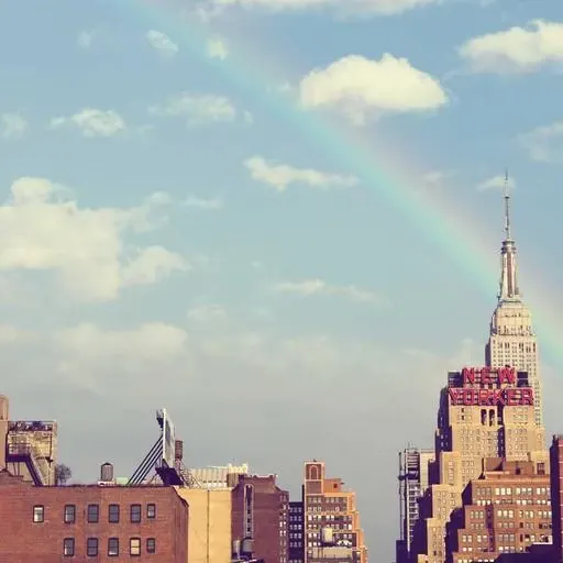 폐암 조기 발견을 위한 저선량 CT 이미지