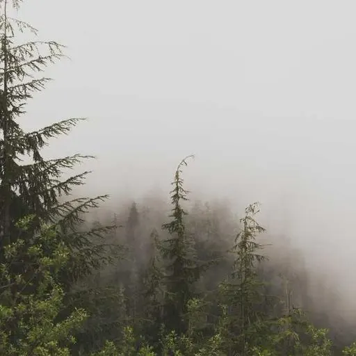 혈압 관리에 도움이 되는 식품 이미지