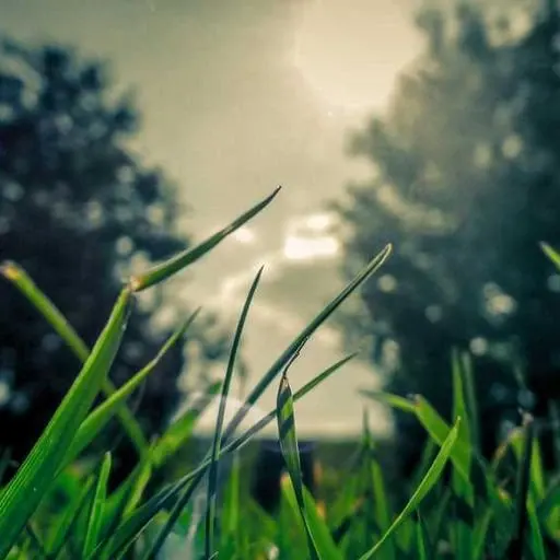 2024년 최신 청년도약계좌 변경 사항과 전망 이미지