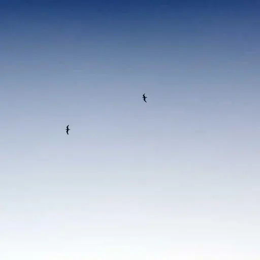 주의사항 이미지