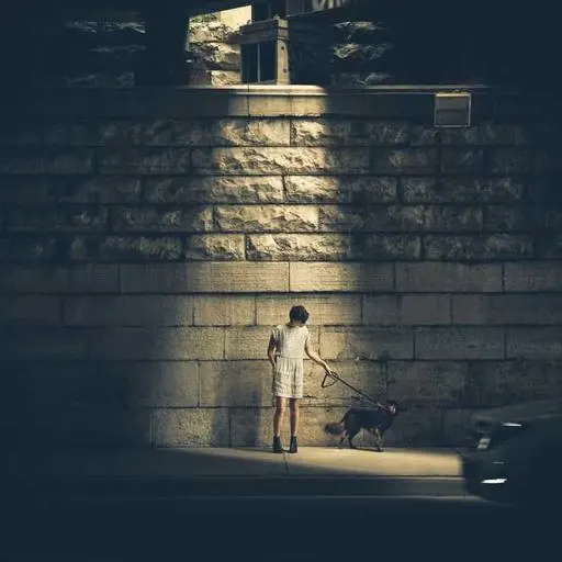 핵심 요약 이미지