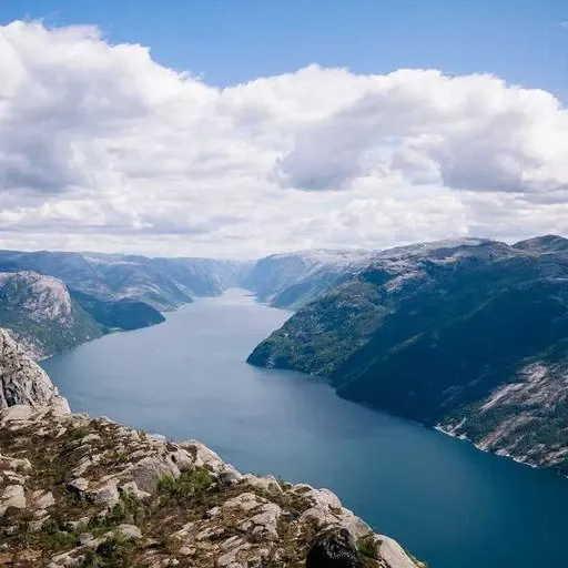 비타민 E의 항산화 효과 이미지