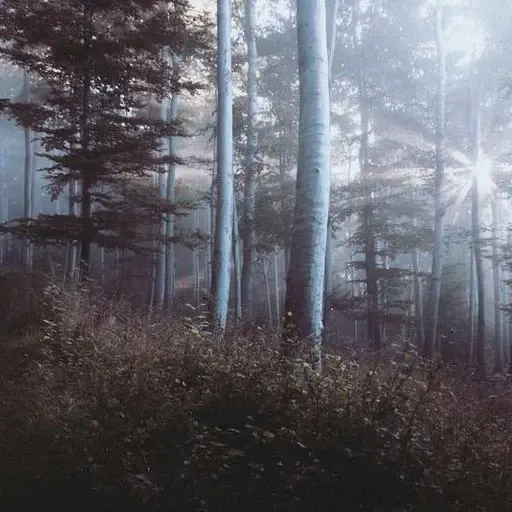 대출 한도와 상환 방식 이미지