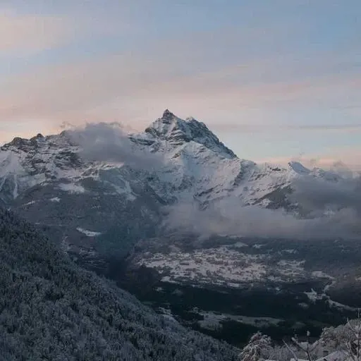 채무통합 대환대출 관련 최신 정책과 금융 지원 상품 이미지