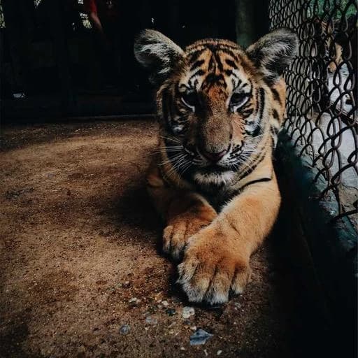 연체자 대출 관련 자주 묻는 질문과 답변 이미지