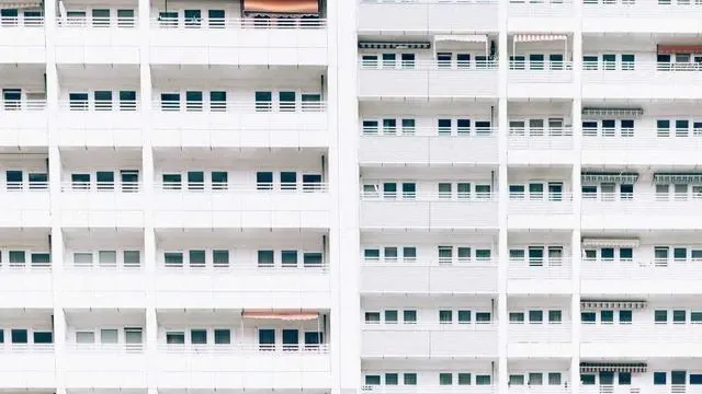 국제배구연맹(FIVB)과의 협력 및 규정 문제 이미지