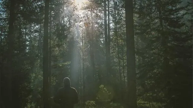 이재명 대통령 귀국길과 국내 경제 반응 이미지