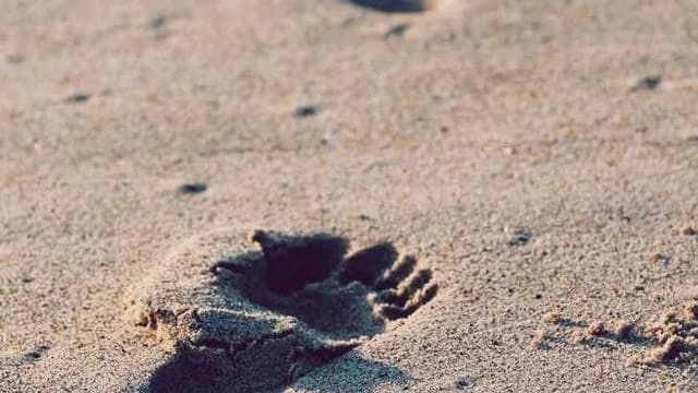 한-캄보디아 정상회담과 온라인 스캠 대응 협력 이미지