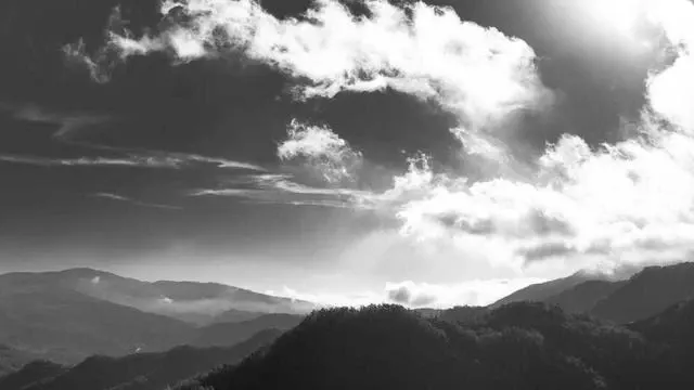 카카오뱅크 주담대 실행 후 실제 이자 절감 사례 이미지