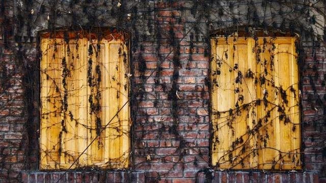 신혼부부 특례보금자리론 실제 신청 후기와 성공 사례 이미지