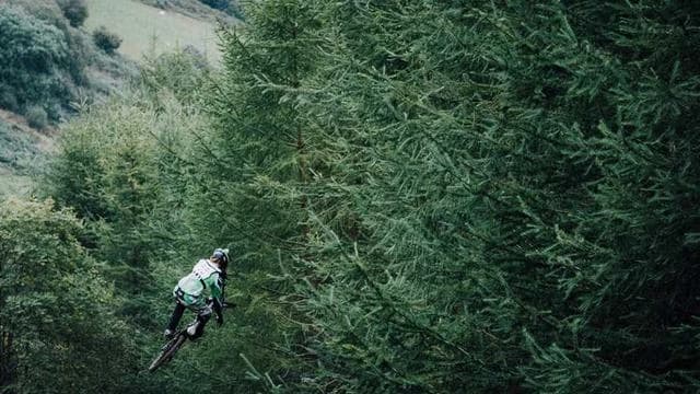 2025년 최신 대출 신청 시 유의사항과 팁 이미지