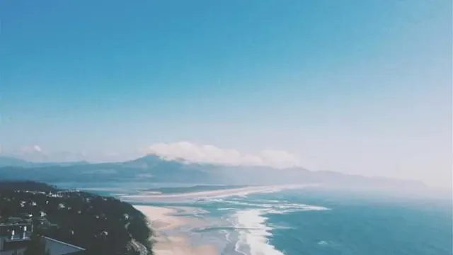 기초연금 신청 시 주의사항과 팁 이미지