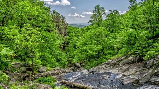 노령연금 신청 방법과 절차 이미지