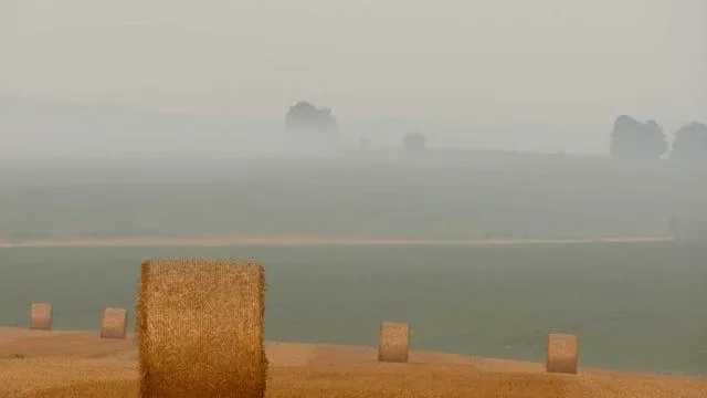 전세보증금반환자금대출 실제 경험담과 사례 이미지