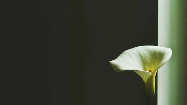 광양시 육아종합지원센터 부모교육 프로그램 이미지