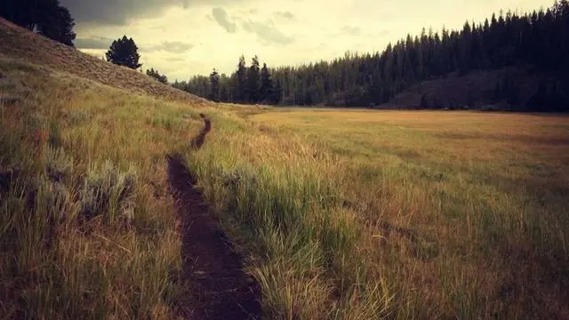 아이돌봄 지원사업과 맞벌이 가정 지원 이미지