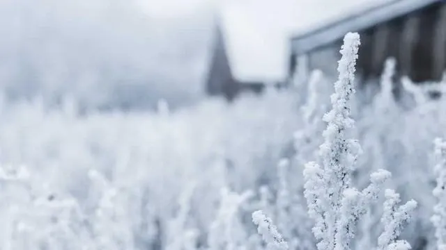 강릉시 아이돌봄서비스 최신 정책 변화 이미지