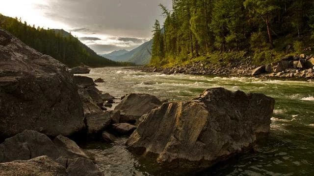 핵심 요약 이미지