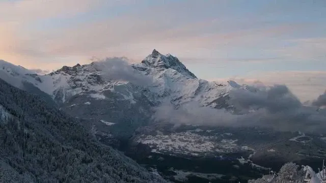 양육비 선지급, 어떻게 신청하나요? 쉽고 빠른 절차 총정리 이미지