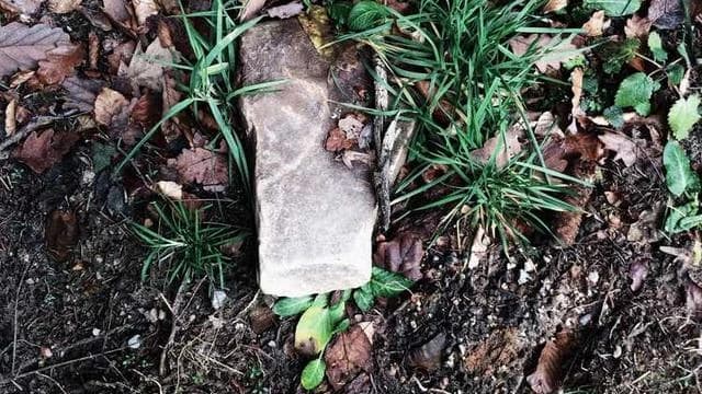 신청 전에 꼭 알아야 할 주의사항과 꿀팁 이미지