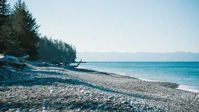 자주 묻는 질문 이미지