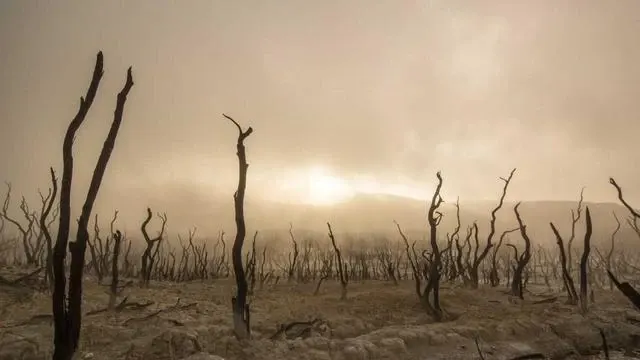 지원 기간과 예산 현황 그리고 문의처 안내 이미지