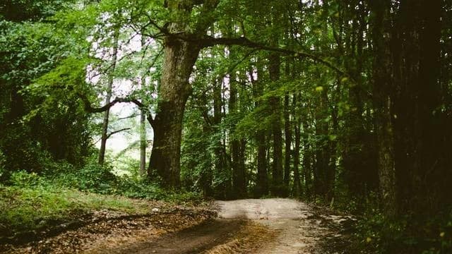 다문화가족 자녀 언어발달지원 서비스 신청 기간과 운영 예산 안내 이미지