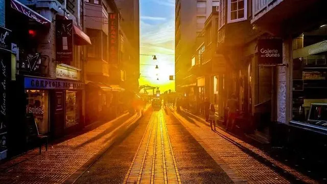 신청 전 꼭 알아야 할 주의사항과 준비 팁 이미지