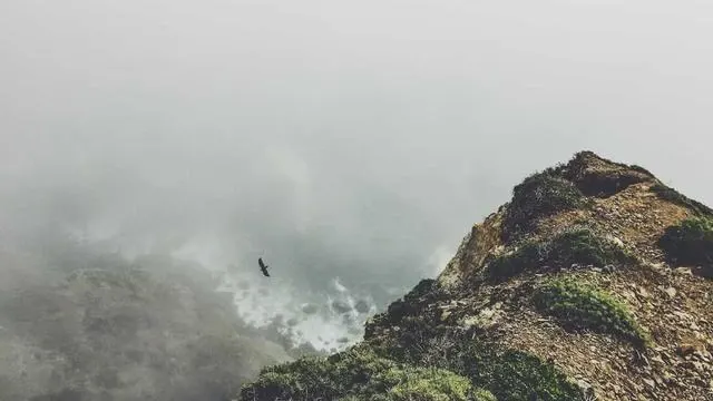 지원사업 기간과 예산 운영 현황 이미지