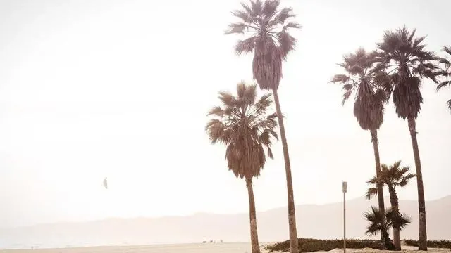 신청 시 꼭 알아야 할 주의사항과 지원 유지 조건 이미지