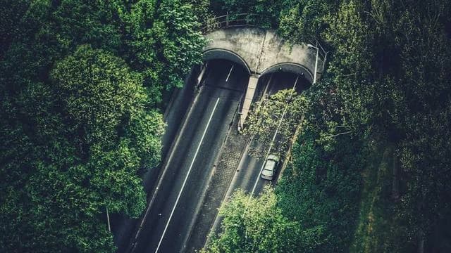 신청 기간과 예산 상황, 문의처까지 한눈에 알아보기 이미지