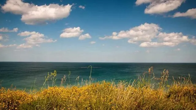 신청 기간과 예산 상황, 문의처까지 꼼꼼히 챙기세요 이미지