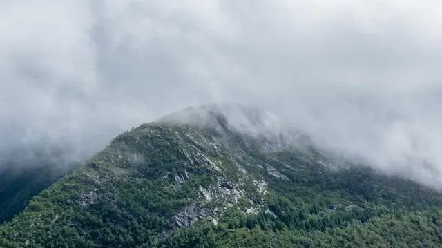 신청 후에는 어떤 과정이 진행되고 지원금은 어떻게 받을 수 있나요? 이미지