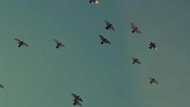 처음 신청자도 쉽게! 청년 목돈통장 신청 절차 이미지