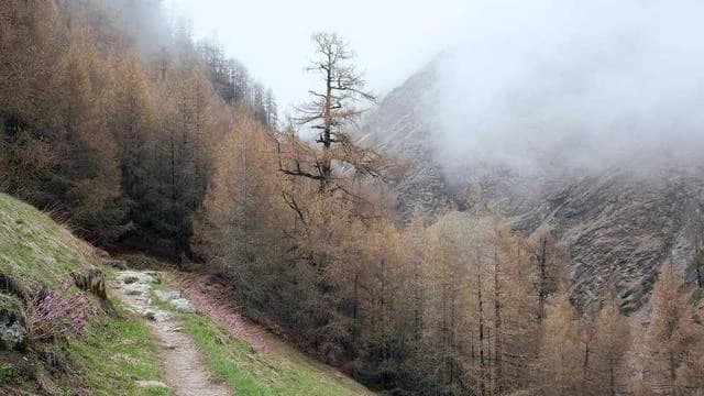 신청 후부터 물품 수령까지 어떤 과정이 진행되나요? 이미지