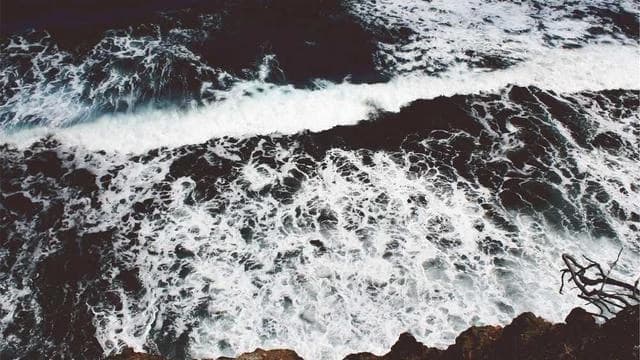 예방접종 후 과정과 접종 완료 확인 방법은 무엇인가요? 이미지