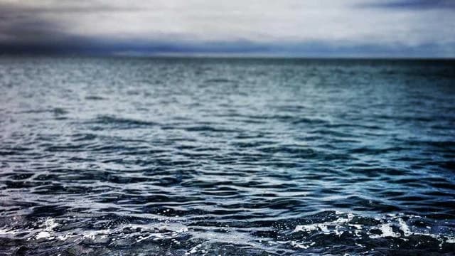 자주 묻는 질문과 상세 답변으로 궁금증 해소하기 이미지