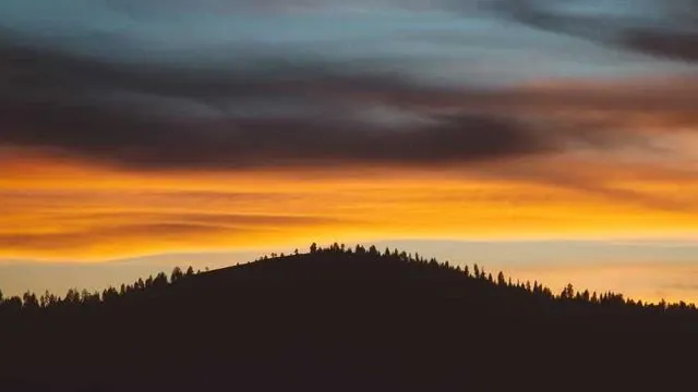 처음 신청해도 걱정 마세요 쉽고 빠른 신청 방법 안내 이미지