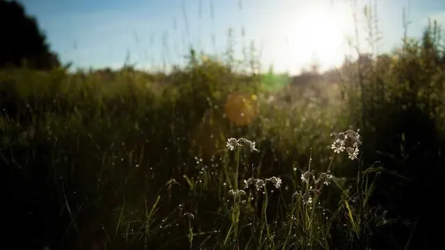 자주 묻는 질문으로 꼼꼼히 궁금증 해결하세요 이미지