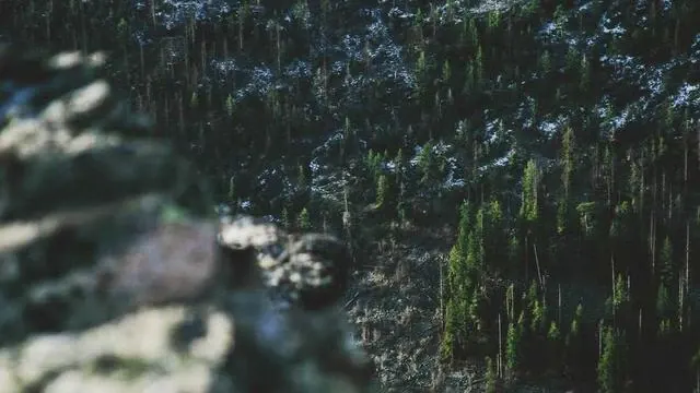 아동수당 신청, 어디서 어떻게 해야 할까요? 이미지