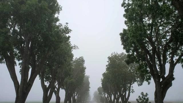 지원 신청 시 꼭 알아야 할 주의사항과 안내 이미지