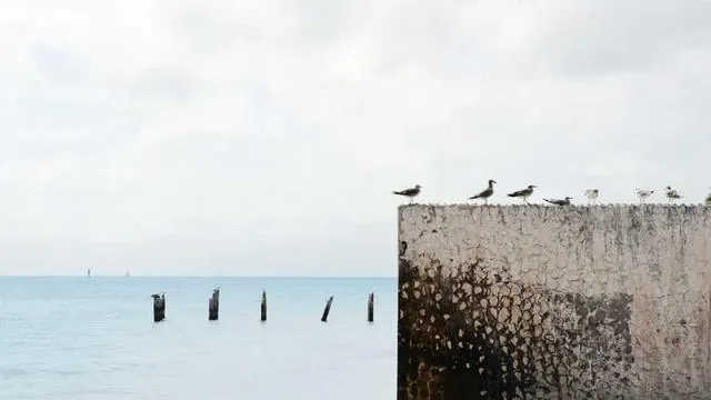 전국민 마음투자 바우처 신청, 이렇게 쉽고 빠르게 진행하세요 이미지