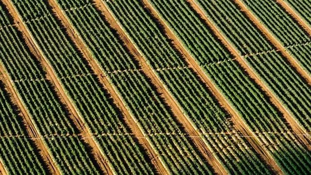 사업 운영 기간과 예산 상황 그리고 문의처 안내 이미지