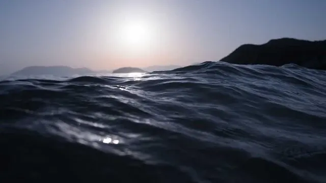 양육비 이행명령 신청서, 신청 기간과 예산 현황은 어떨까요? 이미지